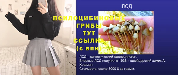 spice Няндома