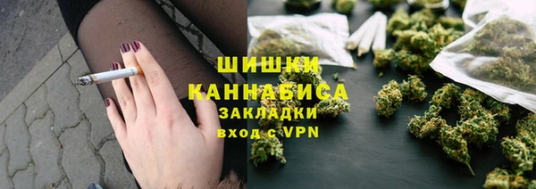 твердый Алзамай